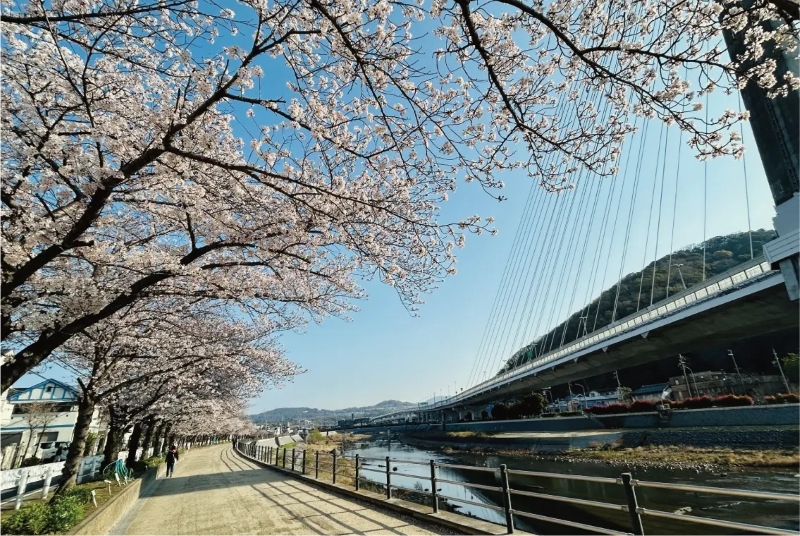 猪名川沿い遊歩道