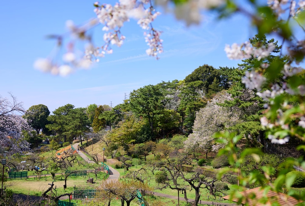 大倉山公園