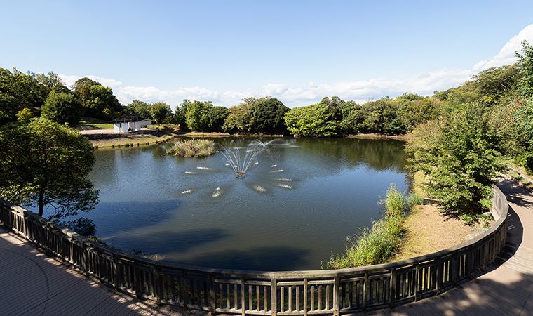 中央公園