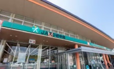 JAえひめ中央太陽市