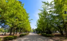 城山公園