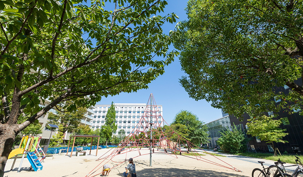 六本松公園
