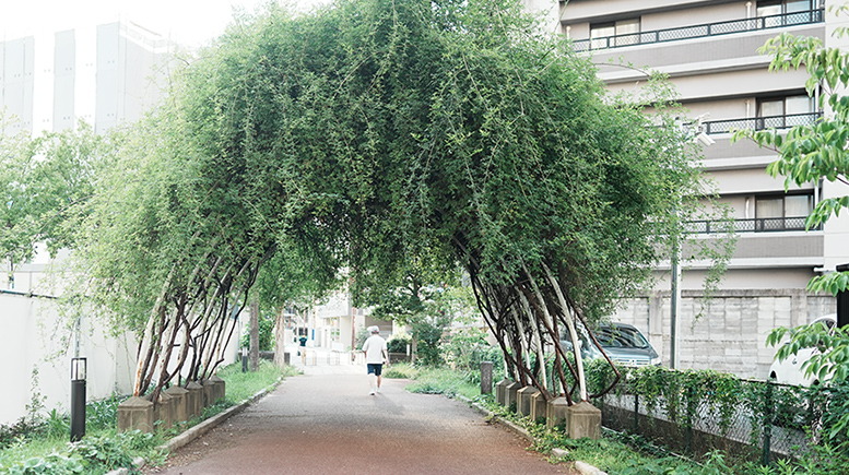 梅光園緑道