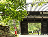舞鶴公園