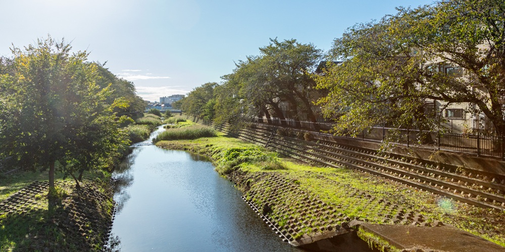 野川