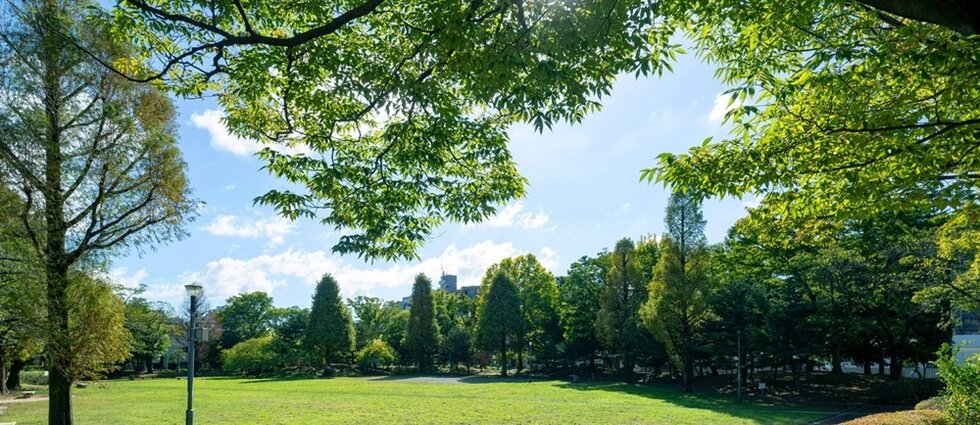 大谷田公園