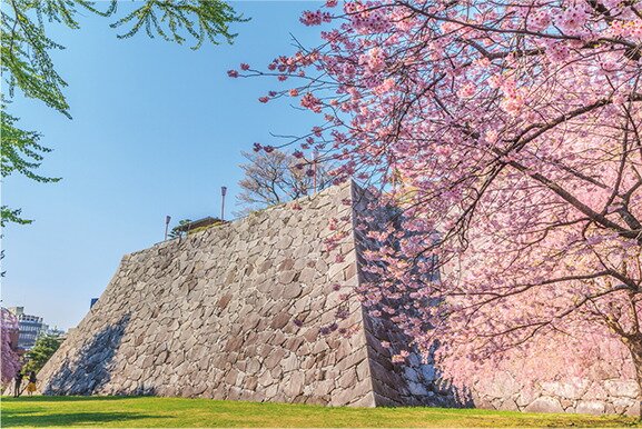 盛岡城跡公園