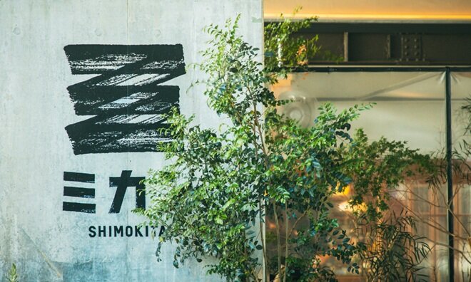 ミカン 下北