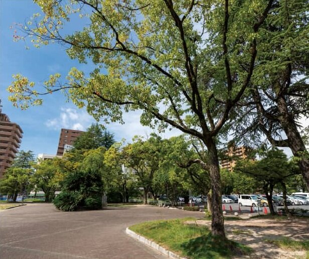 中央公園