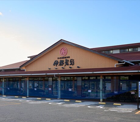 伊都菜彩