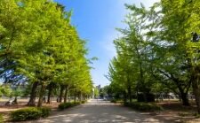城山公園