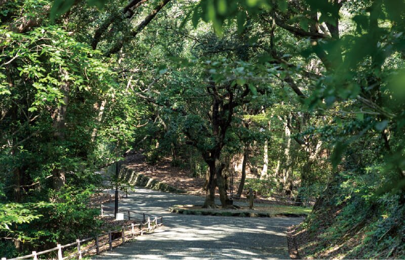 南公園