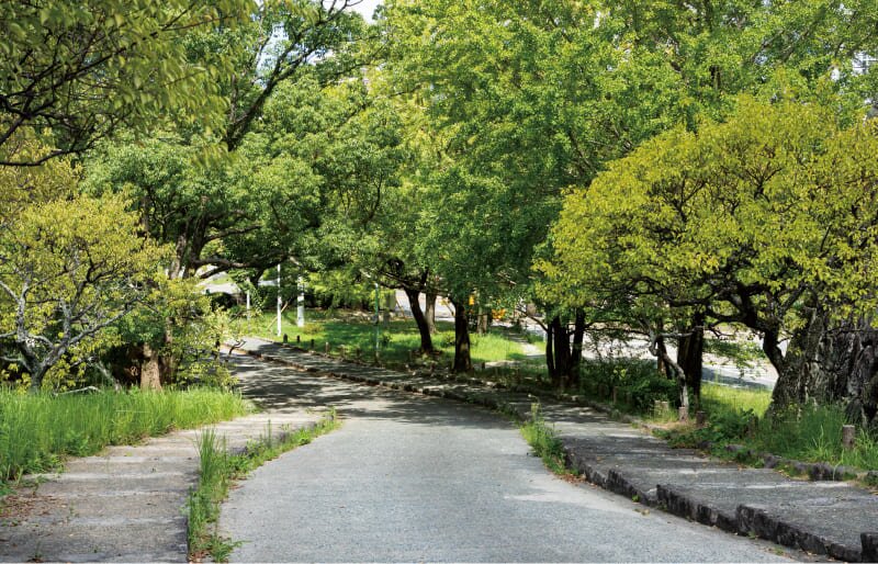 舞鶴公園