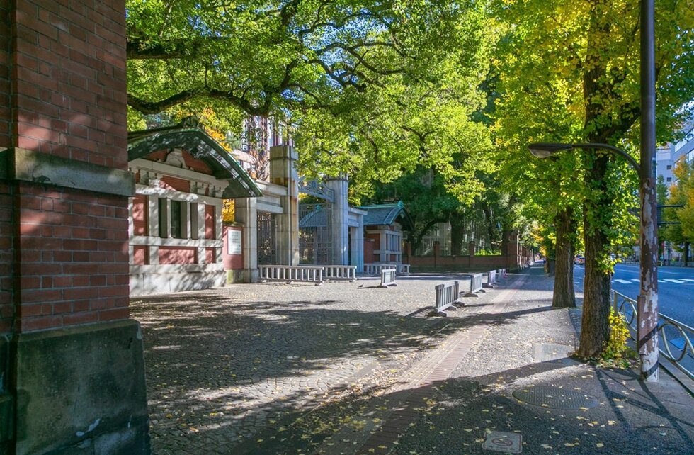 東京大学