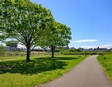 七北田川友愛緑地