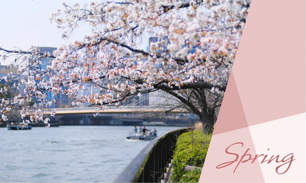毛馬桜之宮公園