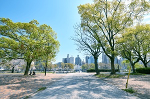 京橋川河岸