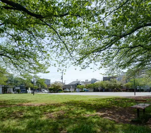 花保さくら公園