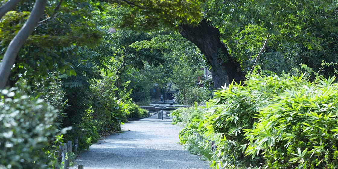 田柄川緑道