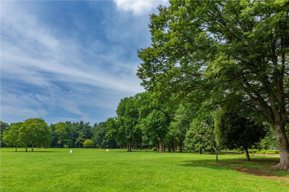 小金井公園