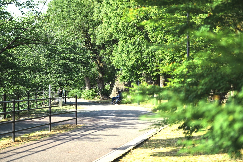 野間大池公園