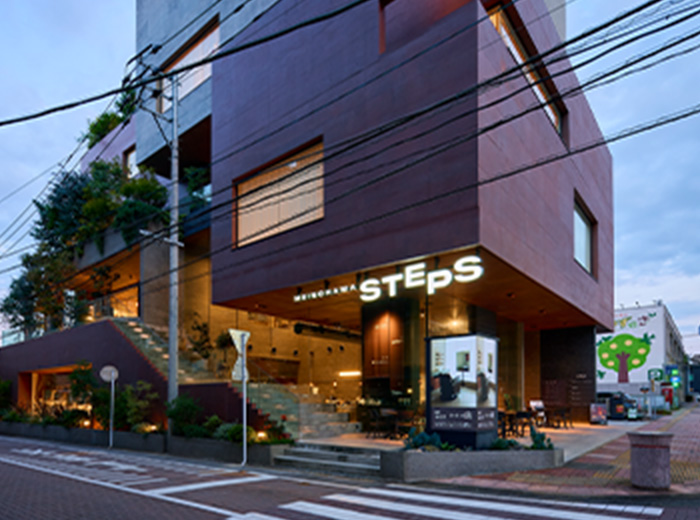MEINOHAMA STEPS