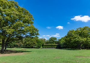 第一カッターきいろ公園［中央公園］