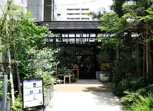 GREEN PATH