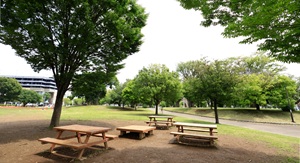西初石近隣公園