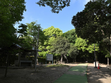 そうか公園 キャンプ場