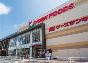 ヨークフーズ厚木店／ケーズデンキ厚木店
