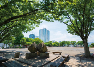 厚木中央公園