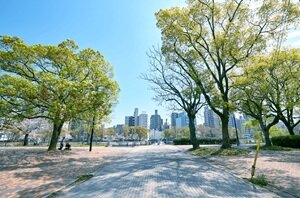 京橋川河岸