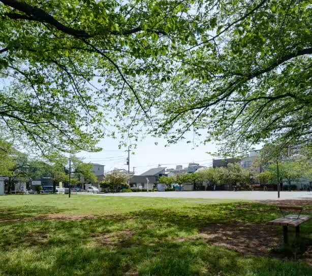 花保さくら公園