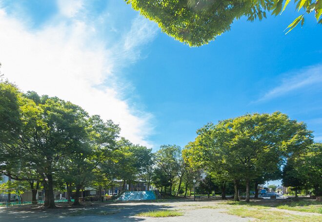 一ツ家第三公園（どんぐり公園）