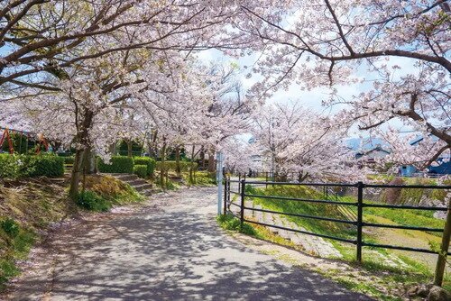 安徳公園