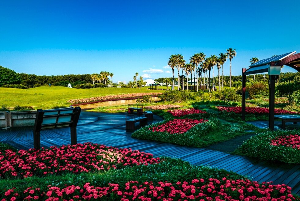 Photo by Hiroshi Nittoji　辻堂海浜公園