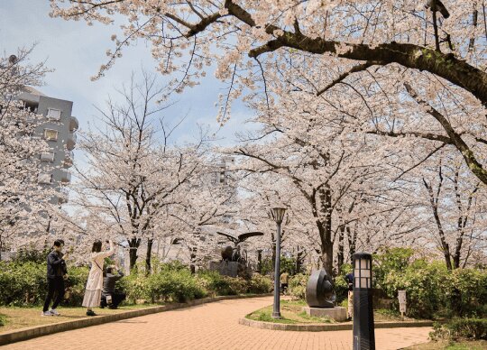 川口西公園（リリアパーク）