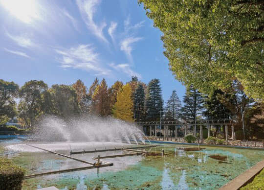 青木町公園総合運動場