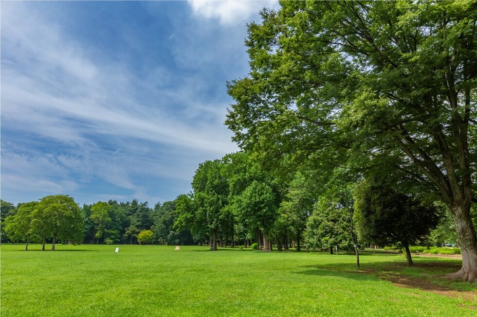 小金井公園