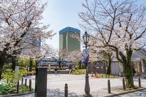 隅田公園