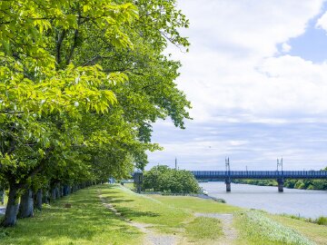 中川河川敷緑道