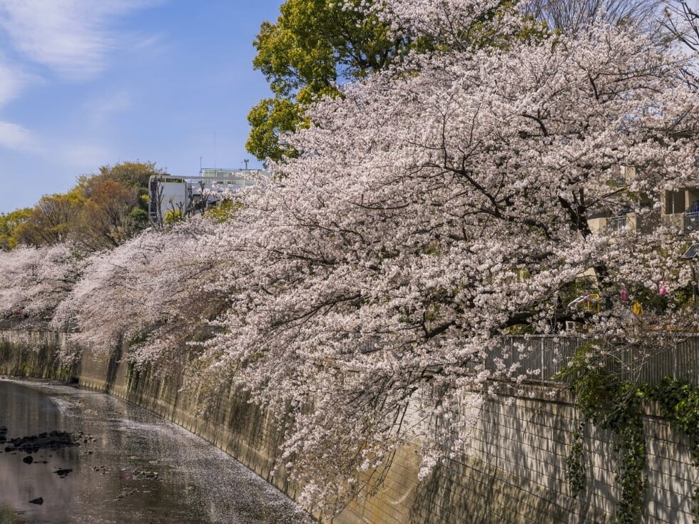 江戸川公園