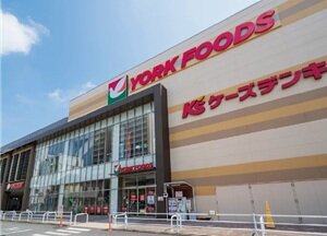 ヨークフーズ厚木店／ケーズデンキ厚木店