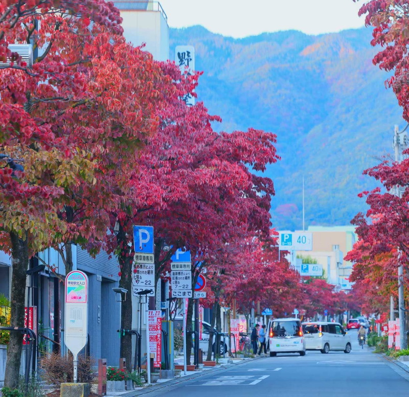 朝日通り商店街