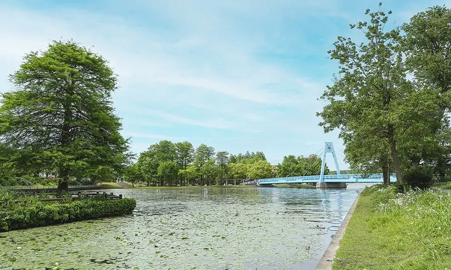 水元公園
