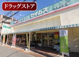 ドラッグセイムス 太田窪店