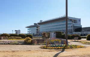 浦和記念公園