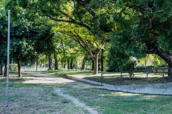 長池公園