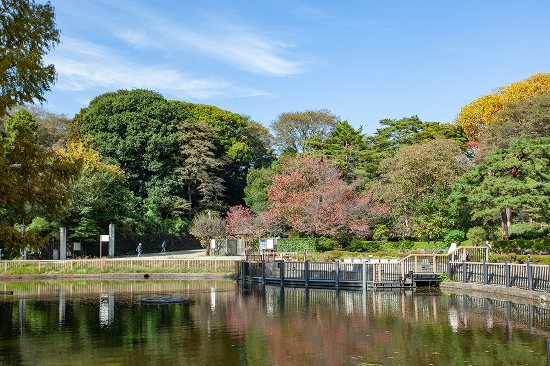 大宮公園